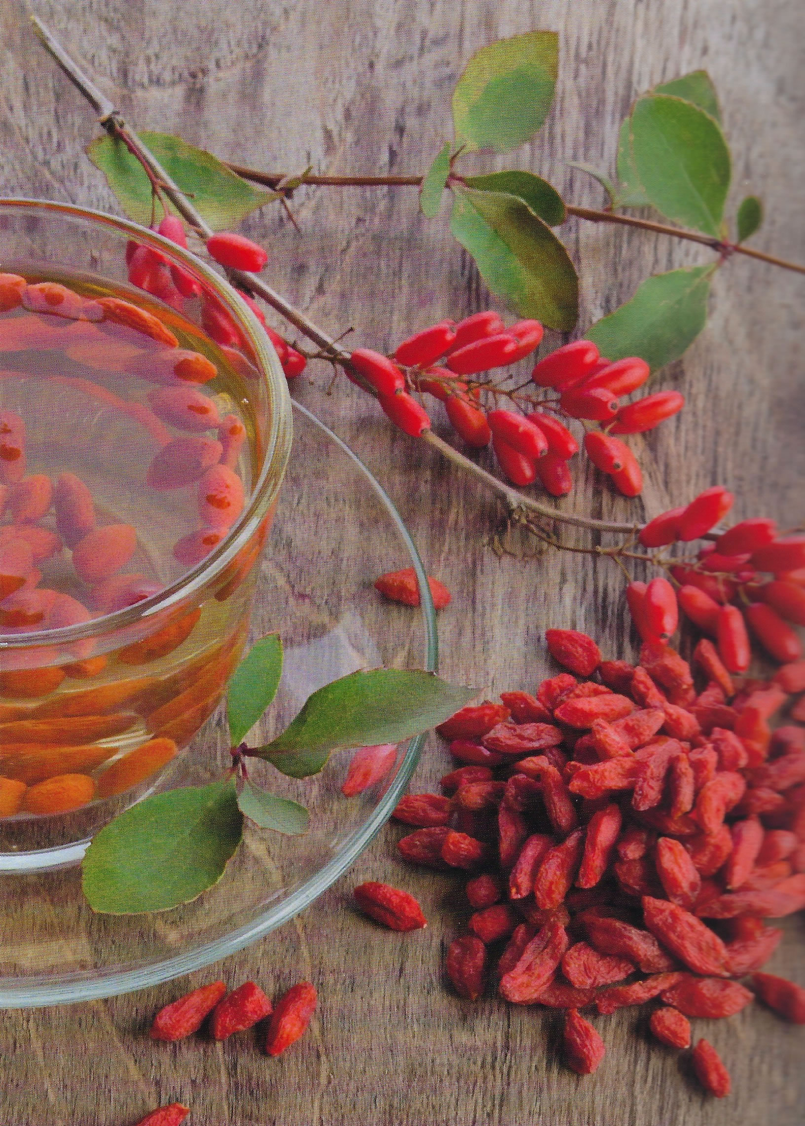 goji